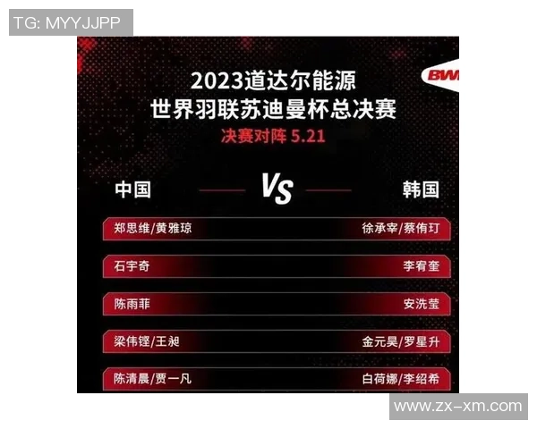 西安羽毛球队团队协作的独特优势与其他队伍的对比分析